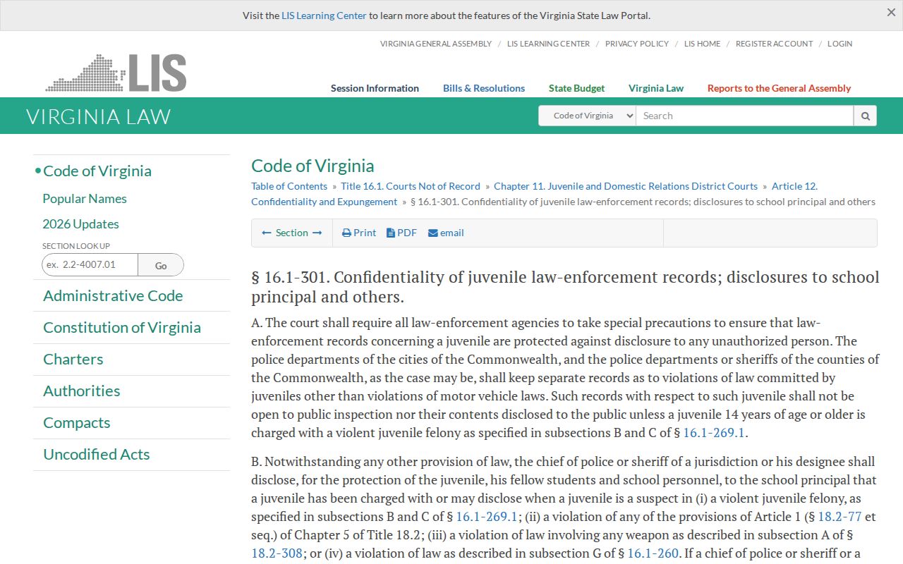 Carroll County municipal records: Virginia juvenile privacy statute